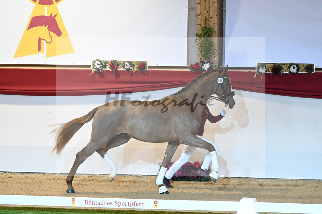 Kat-Nr. 38 Benicio_Wille_1230015 | hf-fotografie - Realisiert mit Pictrs.com