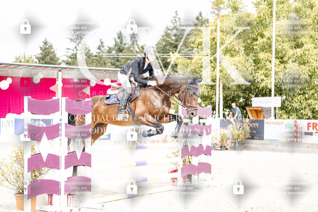 CK909312 | Turnierfotografie Pferdefotografie Trier Rheinland-Pfalz Pferdesport Reitsport Tierfotografie Sportfotografie Pferdevideo Pferdevideografie Equestrianvideography equestrianphotography  - Realisiert mit Pictrs.com