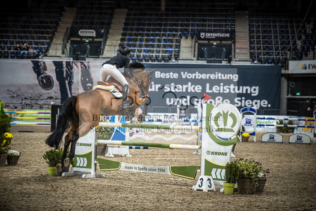 DOS_0102 | Entdecke hochwertige Reitturnierfotos von Foto Oger. Professionell, emotional und authentisch – jetzt Lieblingsmomente im Shop bestellen.Deutschlandweite Turnierfotografie. - Realisiert mit Pictrs.com