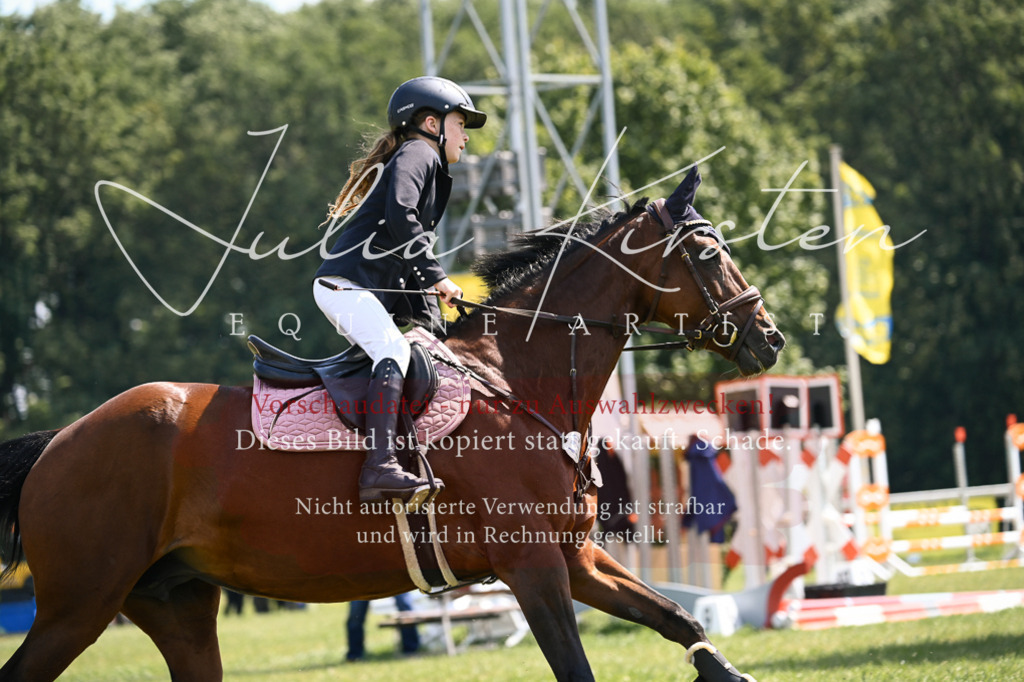 DSC_9008 | Pferde- und Turnierfotografie in Westsachsen. Pferdeportraits, Auftragszeichnungen und intuitive Kunst.