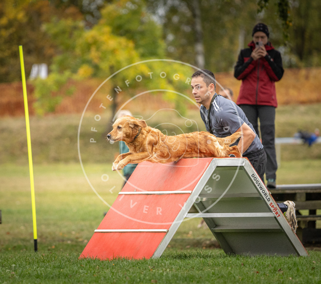 Pfotenfotografie_DV3A9927 | Hundefotografie, Tierfotograf, Pfotenfotografie, Fotoshooting Hund, Hunde Portrait, Hundesport, Hundeportraits, Heideshooting, Hunde, Sportfotograf, Hundefotograf, Turnierhundsport, THS,  - Realisiert mit Pictrs.com