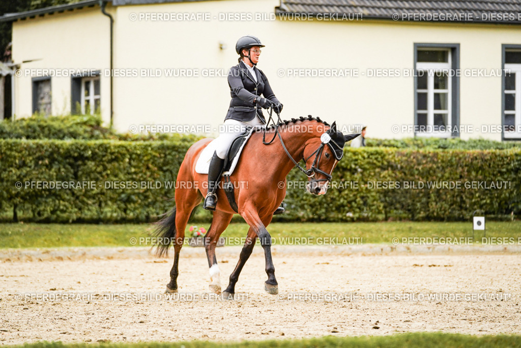 DSC07226 | Pferdegrafie