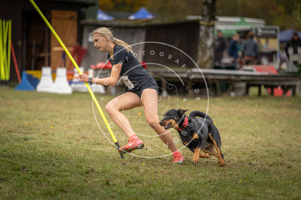 Pfotenfotografie_DV3A7424 | Hundefotografie, Tierfotograf, Pfotenfotografie, Fotoshooting Hund, Hunde Portrait, Hundesport, Hundeportraits, Heideshooting, Hunde, Sportfotograf, Hundefotograf, Turnierhundsport, THS,  - Realisiert mit Pictrs.com