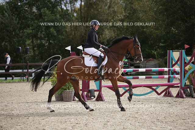 1J2A2474Paula de Boer-Schwarz_ Varello H_ Kn969_ Havekost | Foto- und Videografie für alles rund ums Pferd. Hochwertige Bilder und Videos vom Spring- und Dressurreiten, Voltigieren & mehr. Jetzt aktuelle Veranstaltungen und Preise im Shop ansehen. - Realisiert mit Pictrs.com