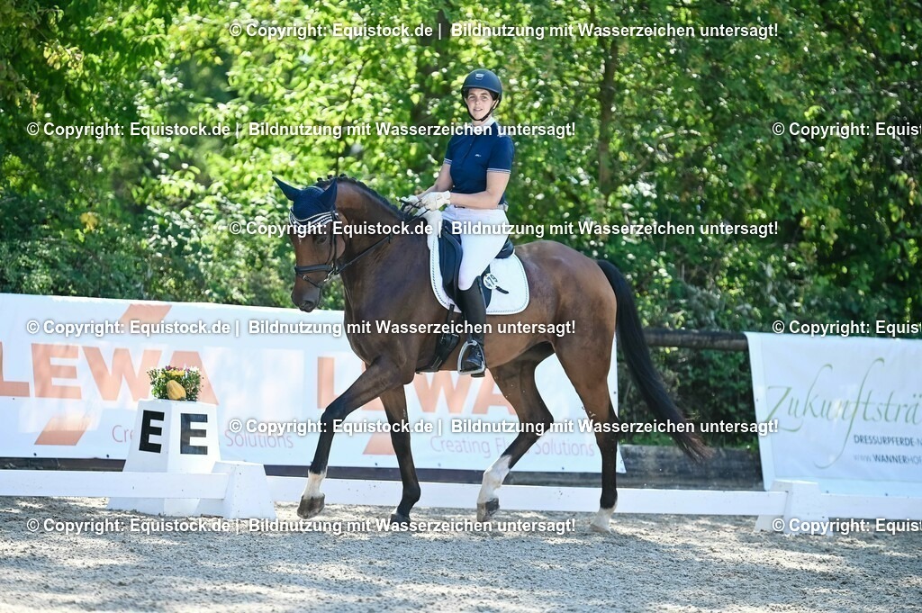 20230908_06_Dressur-L-Trense_0233 | equistock