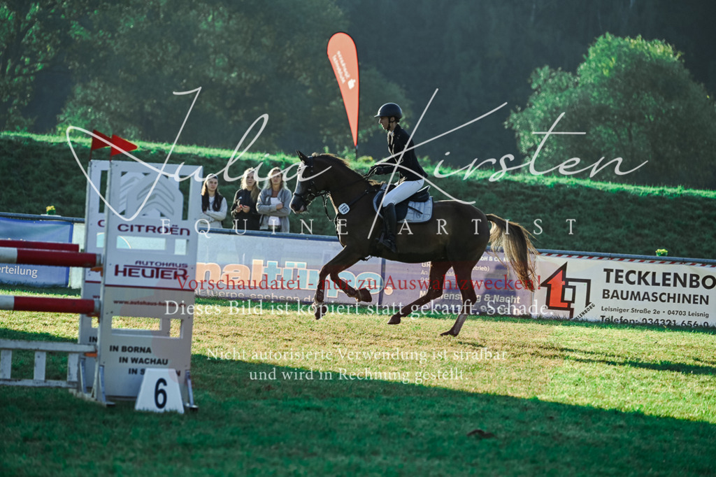 DSC_4008 | Pferde- und Turnierfotografie in Westsachsen. Pferdeportraits, Auftragszeichnungen und intuitive Kunst.