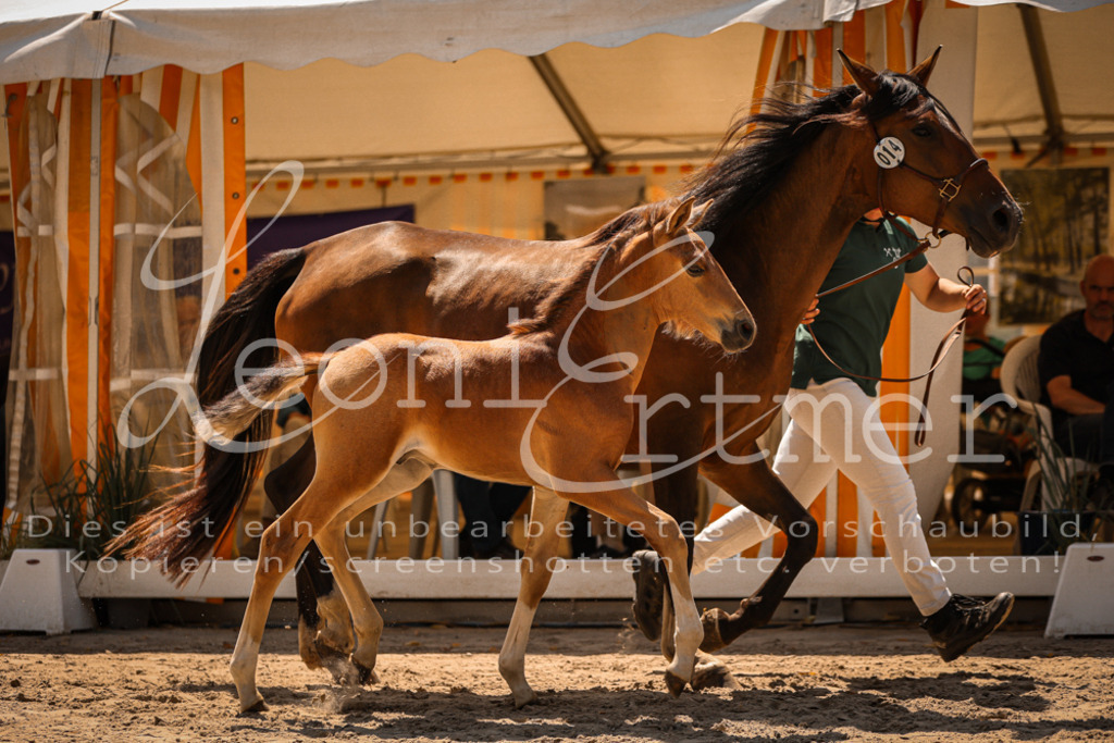 03.DoAB00031 | Leoni Ertmer Photography - Realisiert mit Pictrs.com