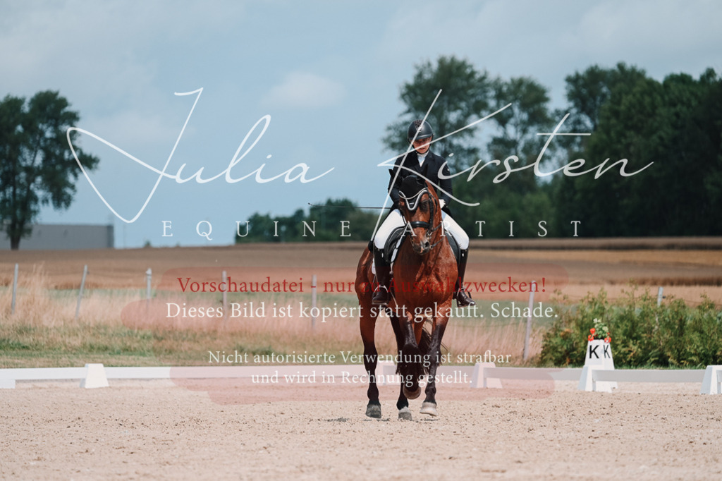 DSC_4376 | Pferde- und Turnierfotografie in Westsachsen. Pferdeportraits, Auftragszeichnungen und intuitive Kunst.
