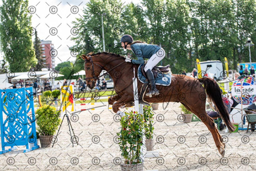 KPT_4795 | andre_photographic