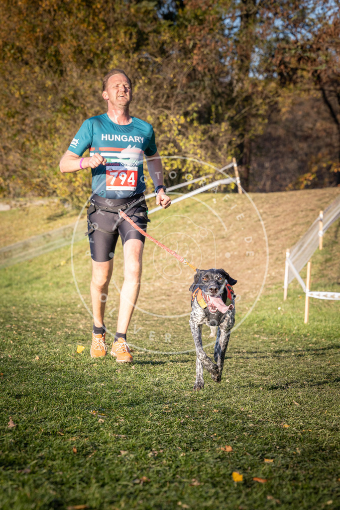CaniXpix_0L8A0313 | Hundefotografie, Tierfotograf, Pfotenfotografie, Fotoshooting Hund, Hunde Portrait, Hundesport, Hundeportraits, Heideshooting, Hunde, Sportfotograf, Hundefotograf, Turnierhundsport, THS,  - Realisiert mit Pictrs.com