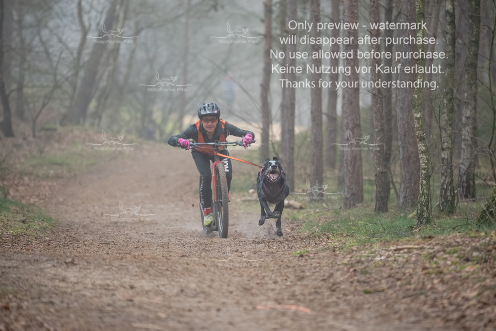 Scooter1-32 | stephaniefillaphotographie - Realisiert mit Pictrs.com