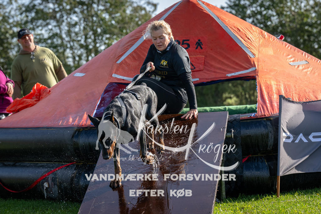 1149-92318 | kk-dogfotos