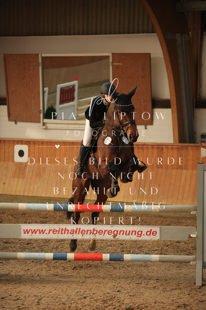 IMGT6560 | pl-fotografie