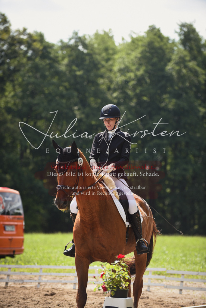 DSC_0738 | Pferde- und Turnierfotografie in Westsachsen. Pferdeportraits, Auftragszeichnungen und intuitive Kunst.