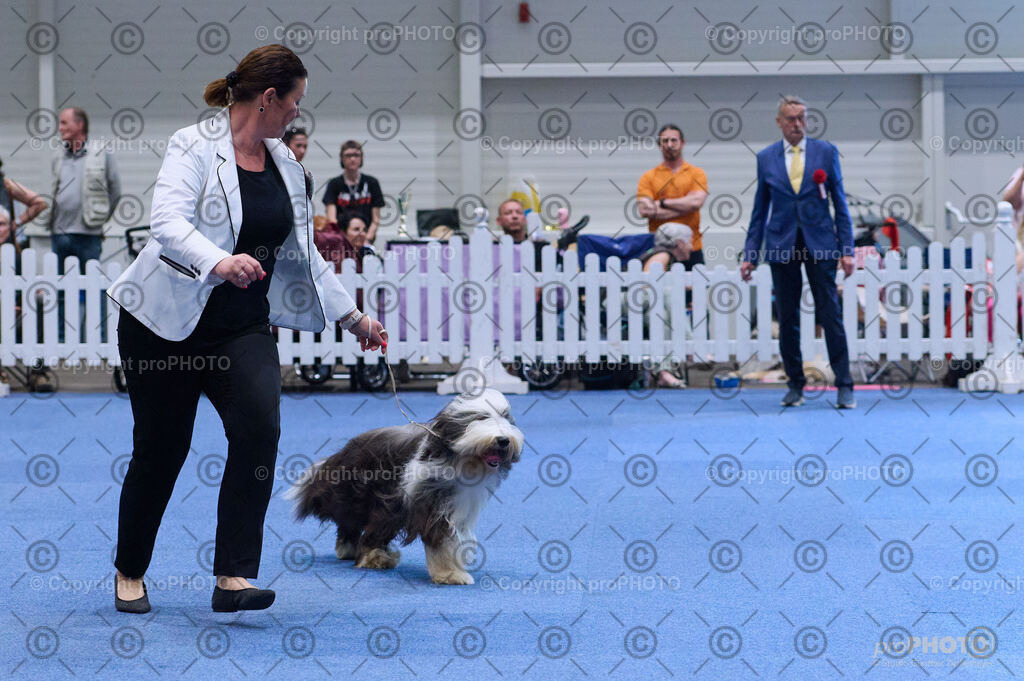 202406_ÖKV-IHA-Tulln24_DSC_3801 | proPHOTO - Realisiert mit Pictrs.com