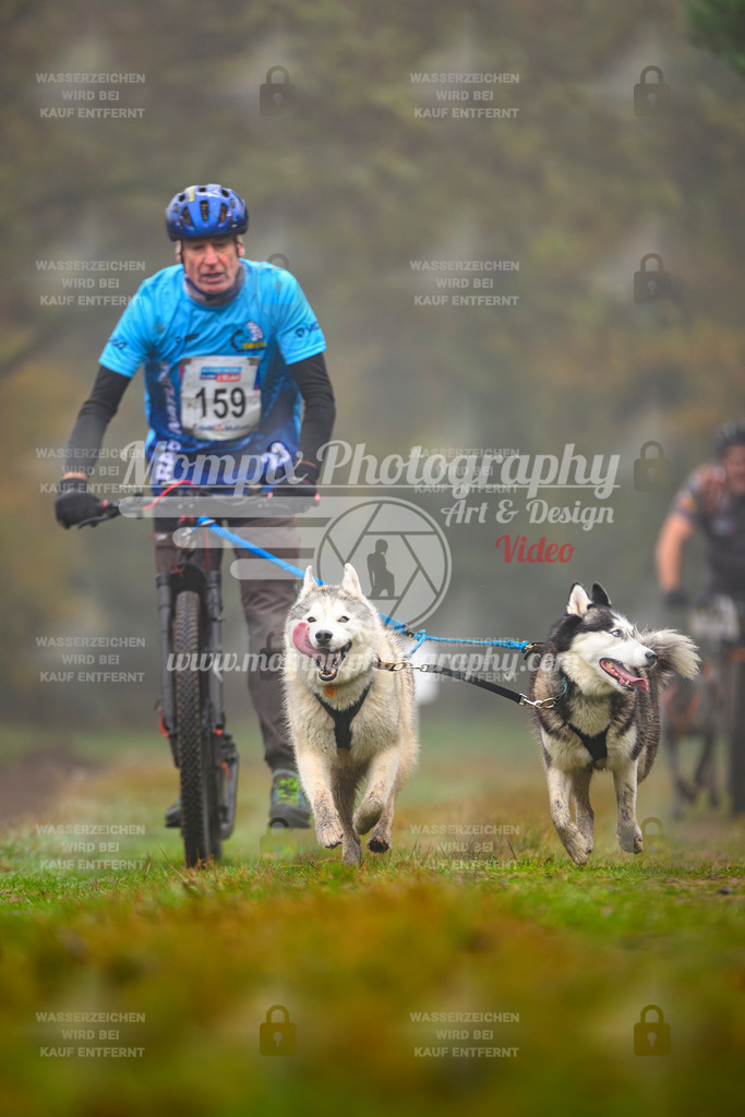 MompixPhotography_Bischwiller2025_Scooter-12 | mompixphotography