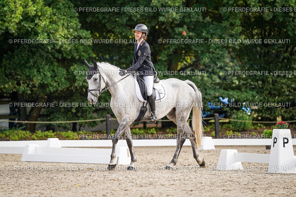 DSC00146 | Pferdegrafie