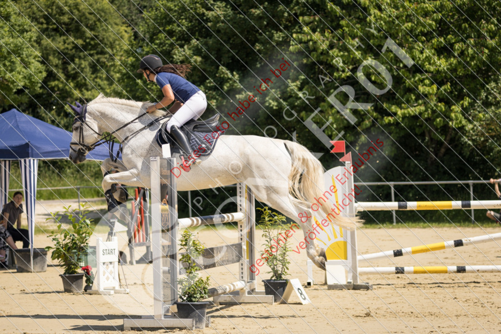 IMG_9200 | Sport-, Event- und Tierfotos in Profiqualität. Einfach auswählen, bestellen und herunterladen. Dein Moment – perfekt festgehalten.