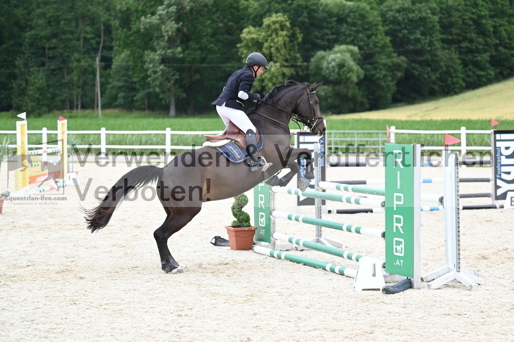 DSC_4322 | equestrian-live-com