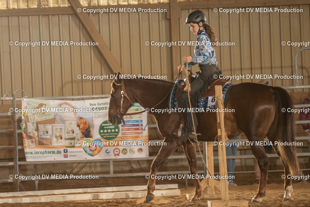 NID02582 | dv-media-shop - Realisiert mit Pictrs.com