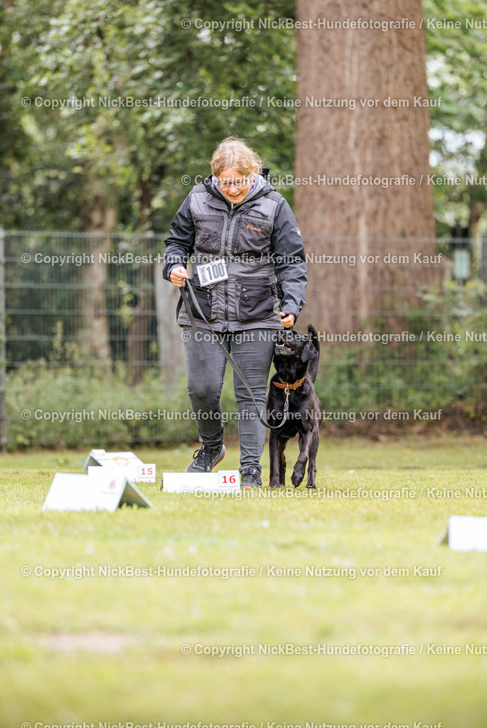 RO-Blumenthal-2026-Nickbest-Hundefotografie-5113 | Dein Hund! Dein Moment! Deine Erinnerungen! Hundefotografie in Bremen Blumenthal. Ich fange die besonderen Momente deines Vierbeiners ein – ob Indoor mit Blitzanlage oder in der freien Natur. Sicher dir dein Moment und dein Termin für eure Erinnerungen.