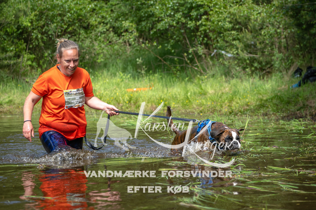 1228DKK992944 | kk-dogfotos