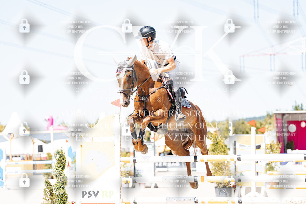 CK909394 | Turnierfotografie Pferdefotografie Trier Rheinland-Pfalz Pferdesport Reitsport Tierfotografie Sportfotografie Pferdevideo Pferdevideografie Equestrianvideography equestrianphotography  - Realisiert mit Pictrs.com