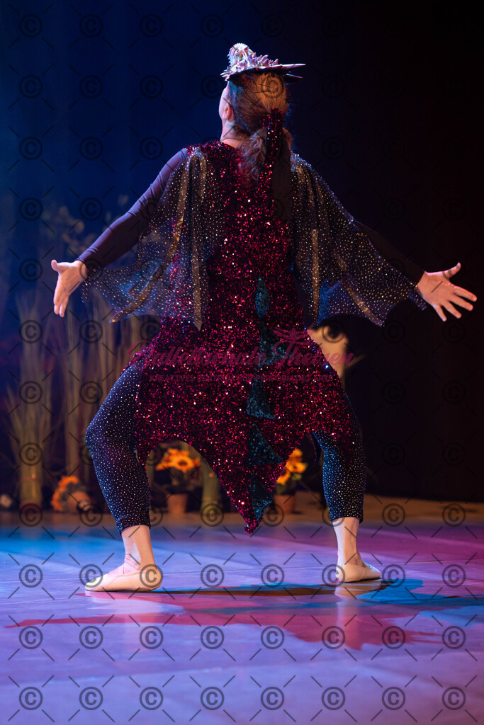 Ballettaufführung-1418 | Bildershop Lem'n Entertainment - Realisiert mit Pictrs.com