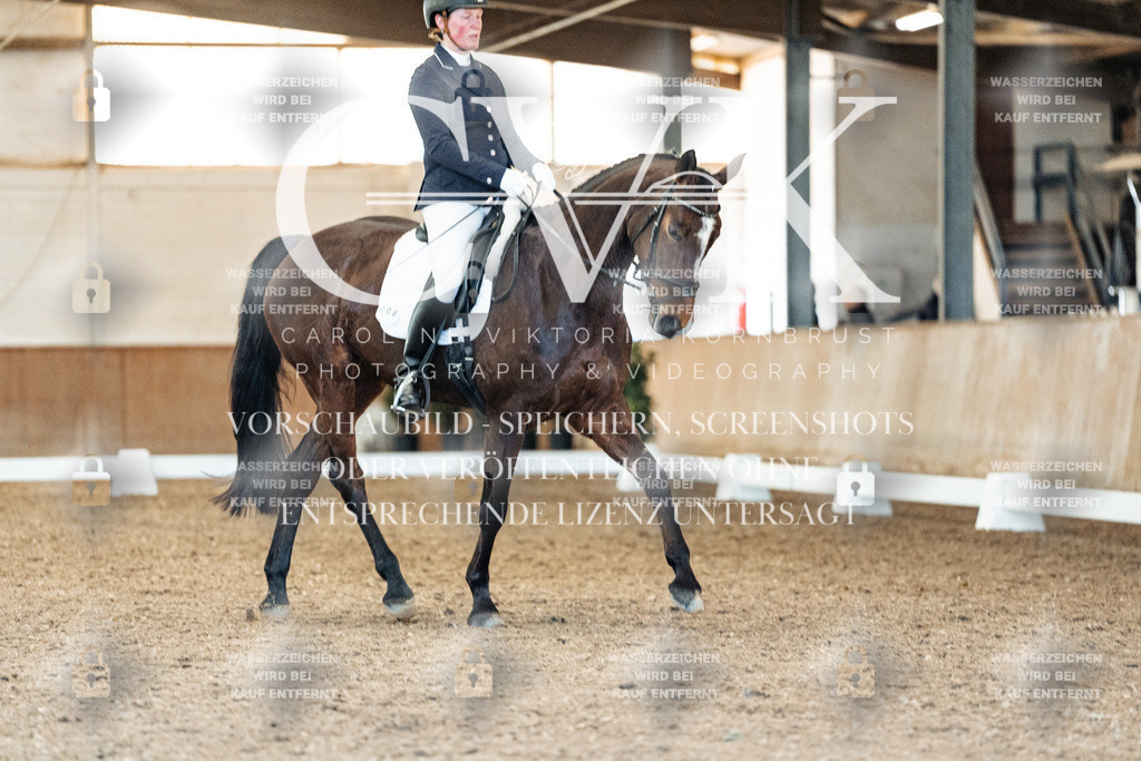 CK909134 | Turnierfotografie Pferdefotografie Trier Rheinland-Pfalz Pferdesport Reitsport Tierfotografie Sportfotografie Pferdevideo Pferdevideografie Equestrianvideography equestrianphotography  - Realisiert mit Pictrs.com