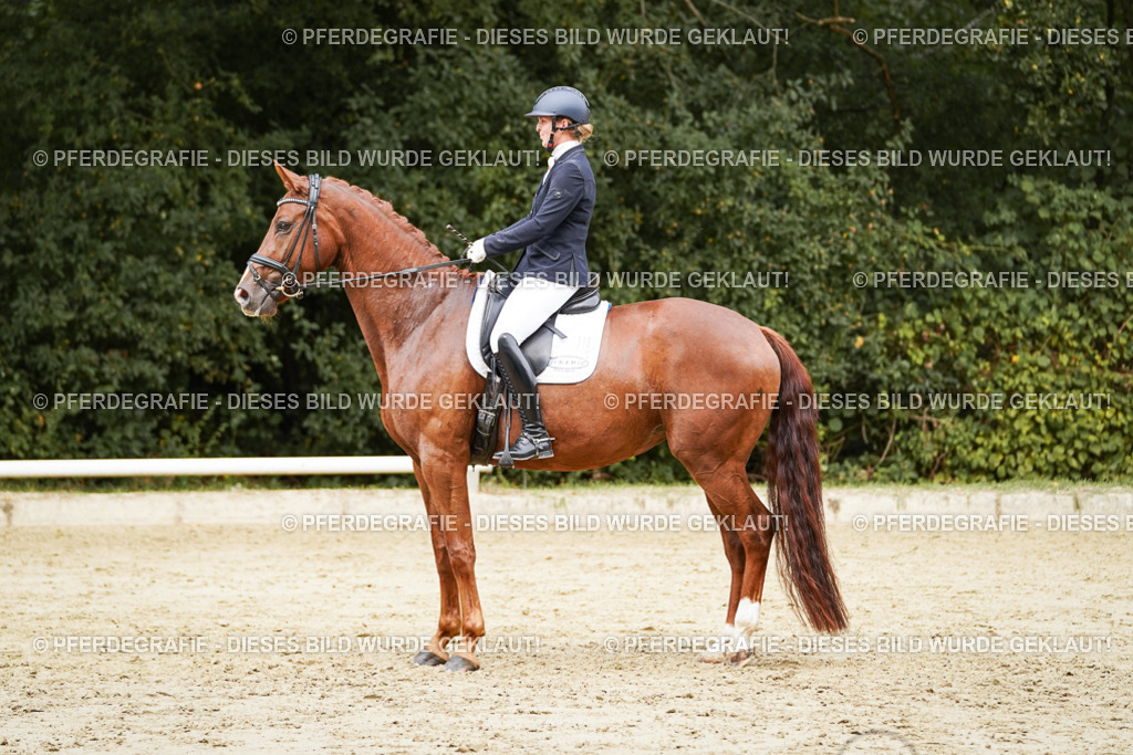 DSC09328 | Pferdegrafie