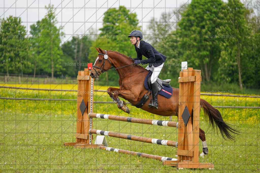 20230520-FAH04846 | Frühjahrsturnier, Landsberg am Lech, 2023, Reitclub Landsberg, Turnierbilder, Fotos Turnier Landsberg, Fotoagentur Herrmann, Turnierfotografen Bayern, Reitsport Fotograf, Pferde Fotograf