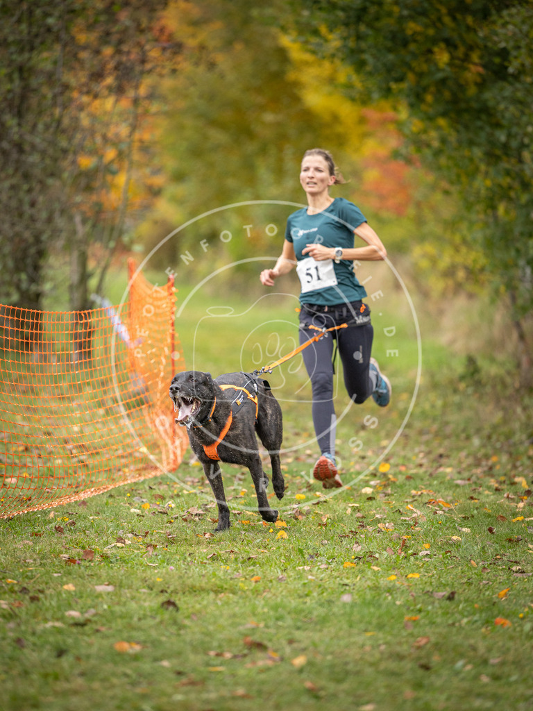 Pfotenfotografie_DV3A2481 | Hundefotografie, Tierfotograf, Pfotenfotografie, Fotoshooting Hund, Hunde Portrait, Hundesport, Hundeportraits, Heideshooting, Hunde, Sportfotograf, Hundefotograf, Turnierhundsport, THS,  - Realisiert mit Pictrs.com