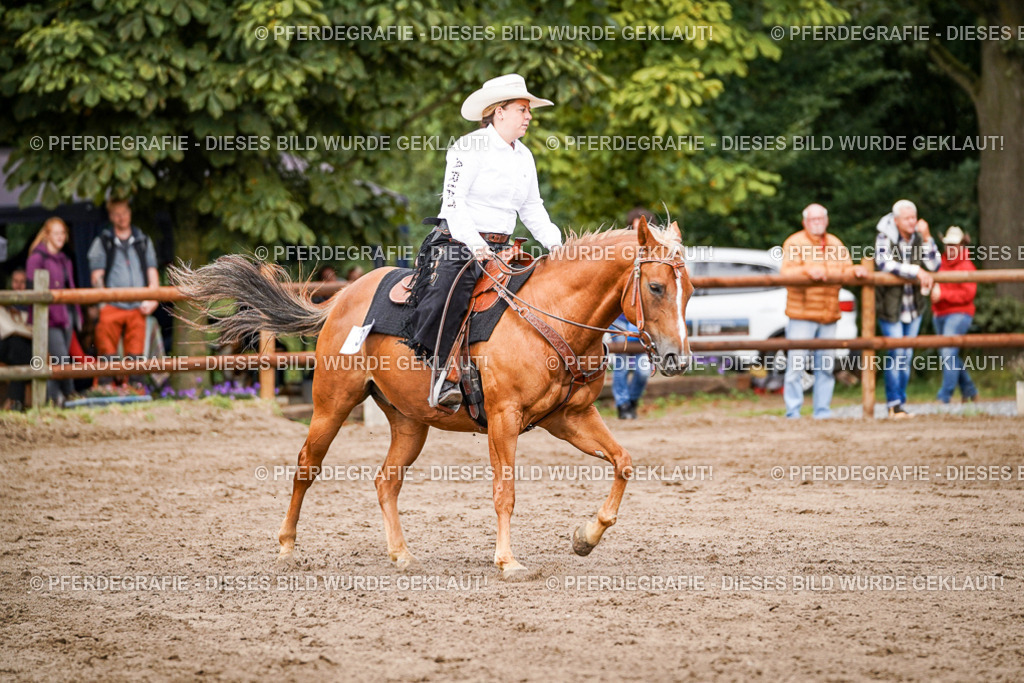 DSC06814 | Pferdegrafie