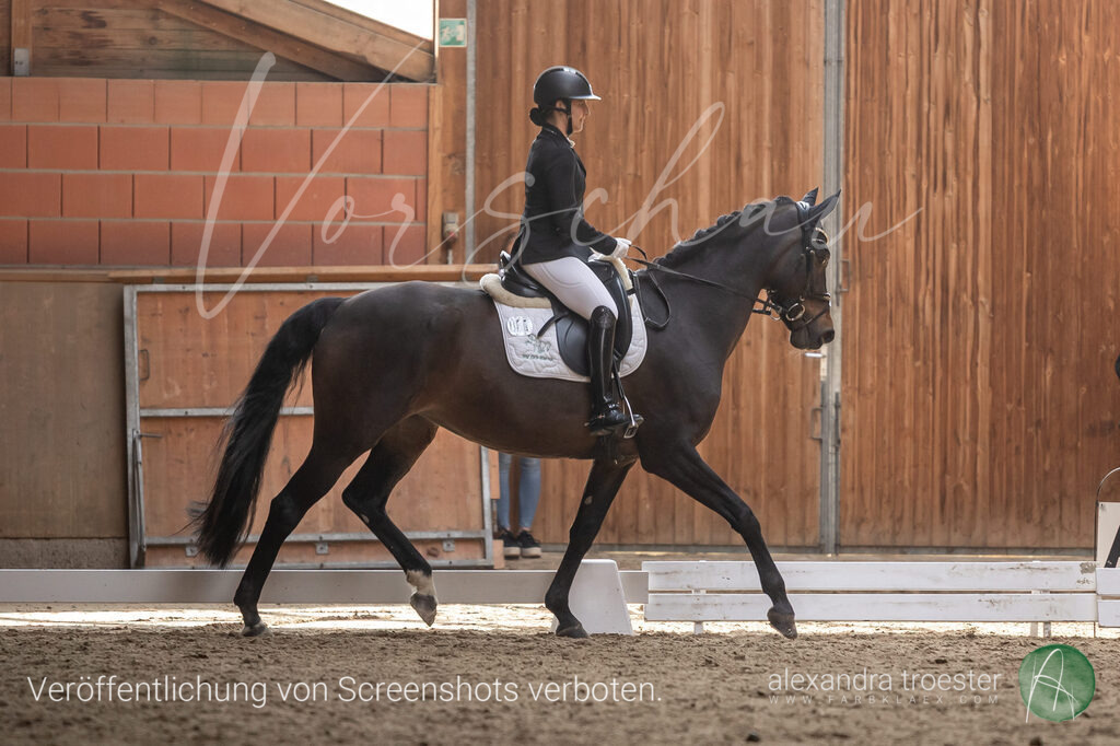 250405_Barop_06_045 | farbklaex.com
