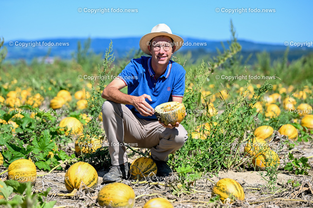 Landwirtschaft_ Gemuesebauer Spiesmayr_ 05.09.2023-3 | 05.09.2023, Wilhering, AUT, Landwirtschaft, Gemuesebauer Spiesmayr in Appersberg, im Bild Klaus Mayr
