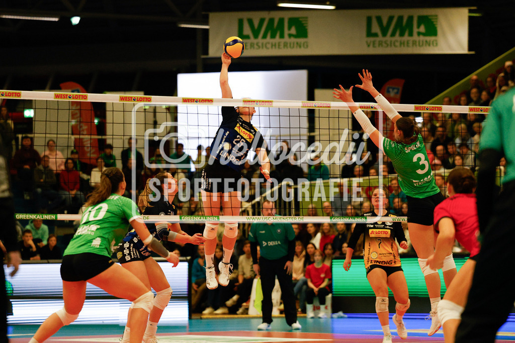 Volleyball I Frauen I Saison 2025-2026 I Bundesliga I 17. Spieltag I USC Münster - VfB Suhl LOTTO Thüringen I 07.02.2026-39 | Amelie Strothoff (10, USC Münster) Monika Brancuská (25, VfB Suhl LOTTO Thüringen) Emma Sambale (7, VfB Suhl LOTTO Thüringen) Esther Spöler (3, USC Münster) - Realisiert mit Pictrs.com