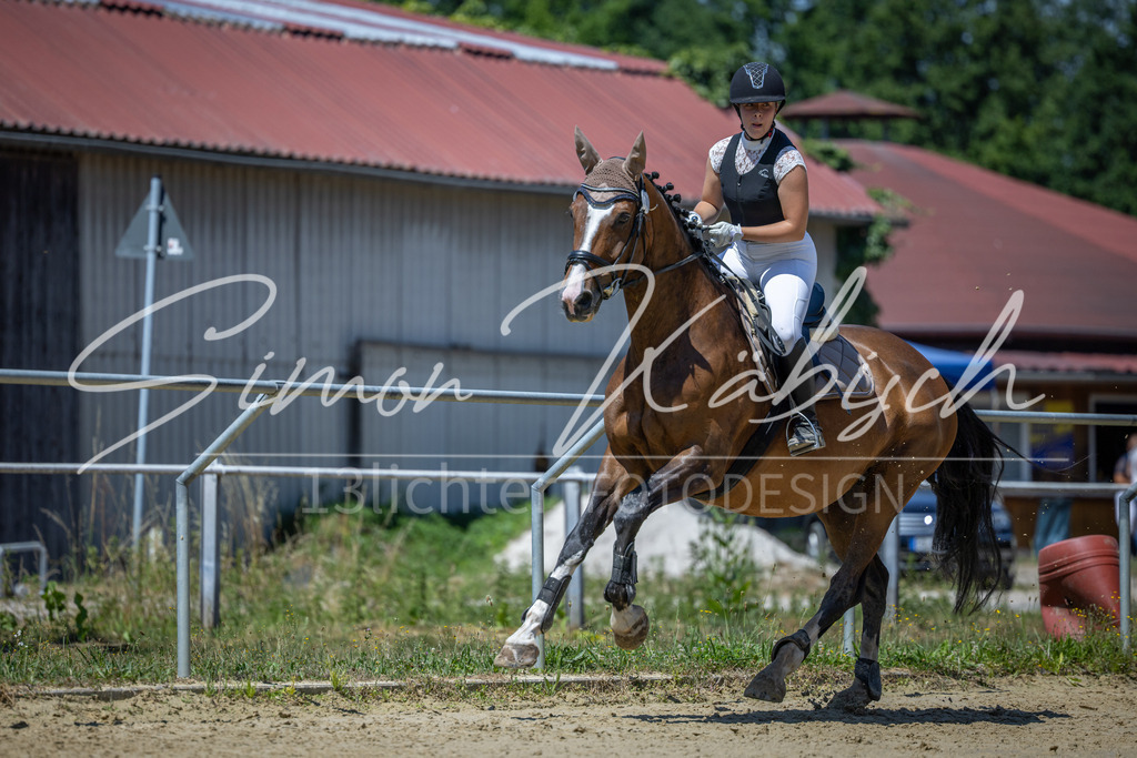 20260704-_3LI8418 | Tierfotografie Pferde, Hunde, Katzen, Haustiere.
Turnierfotografie Reitturniere, Reiten, Springreiten, Dressur in Hanau, dem Main-Kinzig-Kreis und dem Rhein-Main- Gebiet um Frankfurt