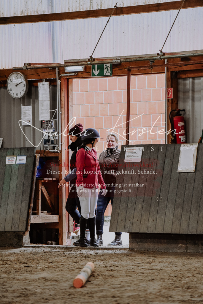 DSC_6715 | Pferde- und Turnierfotografie in Westsachsen. Pferdeportraits, Auftragszeichnungen und intuitive Kunst.
