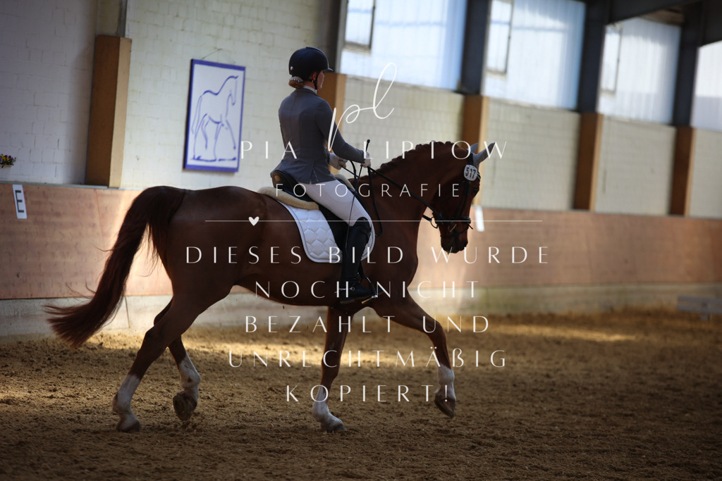 IMGT7371 | pl-fotografie