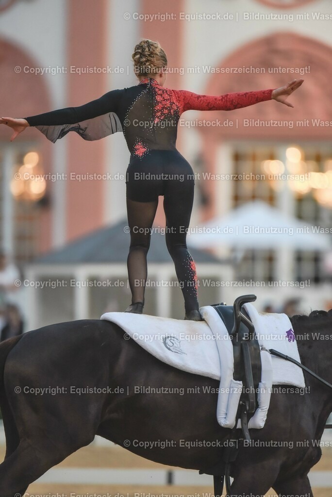 20230527_Voltigieren_NASPA_Flutlicht_0224 | equistock