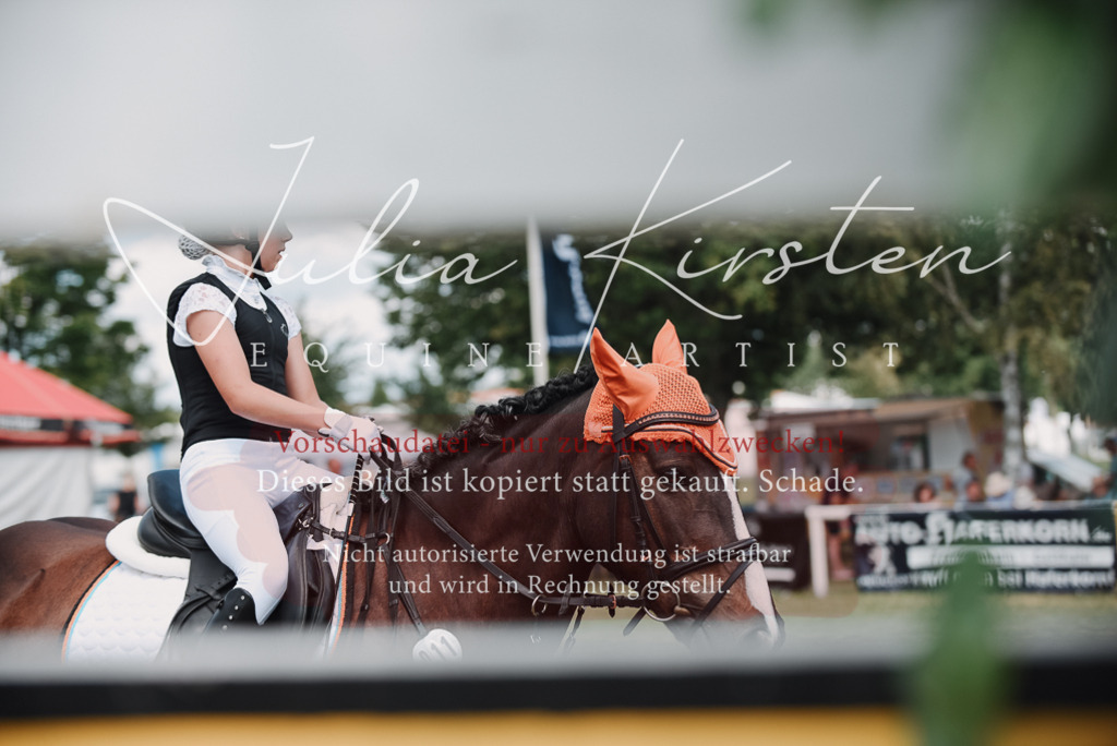 DSC_5689 | Pferde- und Turnierfotografie in Westsachsen. Pferdeportraits, Auftragszeichnungen und intuitive Kunst.