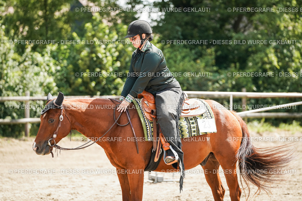 DSC06465 | Pferdegrafie