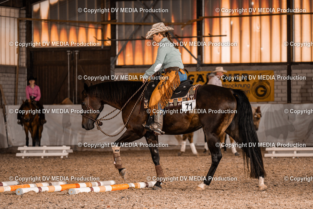 ZH300229 | dv-media-shop - Realisiert mit Pictrs.com