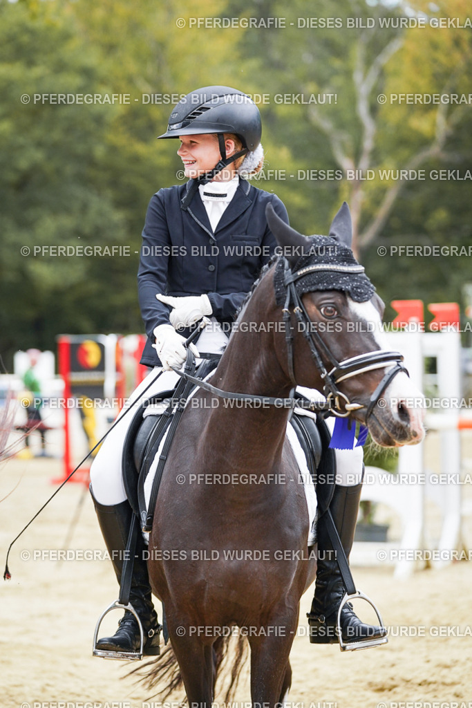 DSC06120 | Pferdegrafie