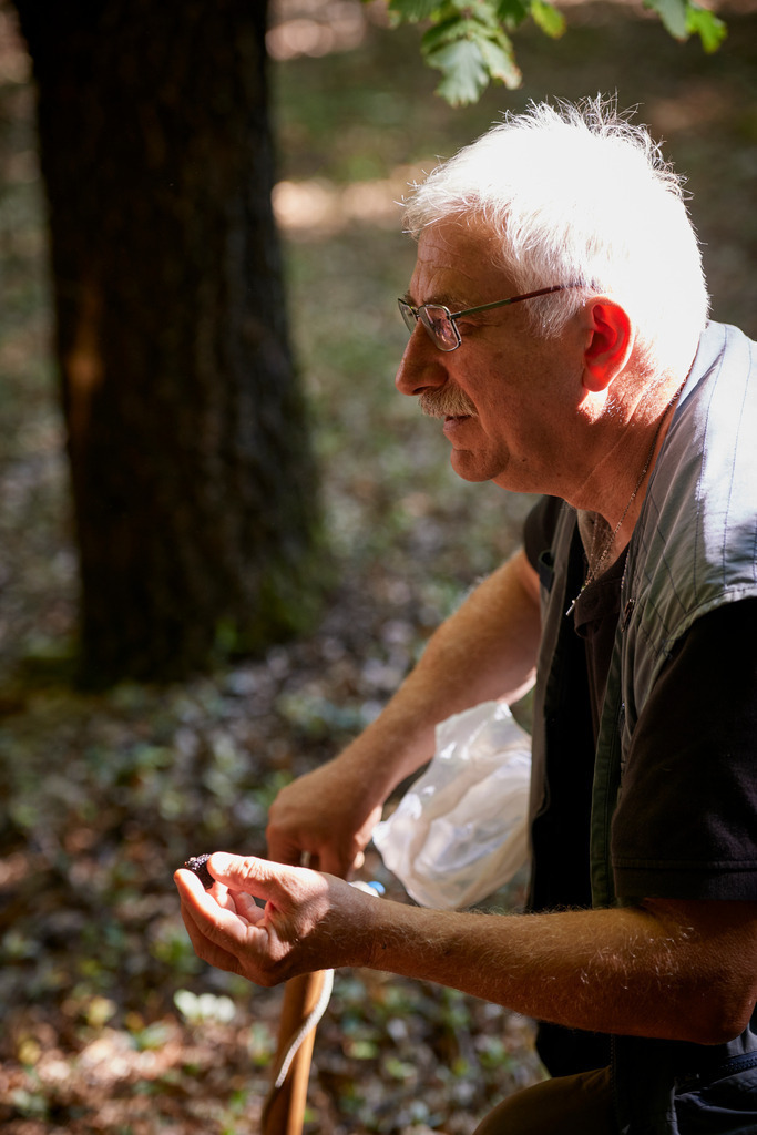 Trueffelsuche | Italien - September 02, 2016: Obere Tibertal; Herr Saverio Bianconi bei der Trüffelsuche. - Realisiert mit Pictrs.com