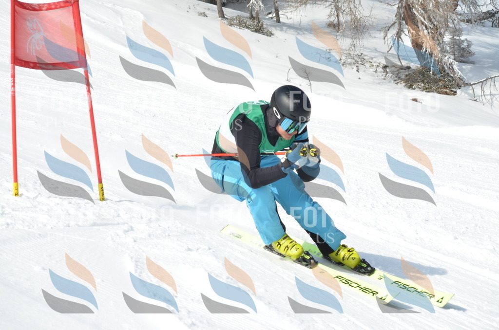 D9219 | holidayphoto