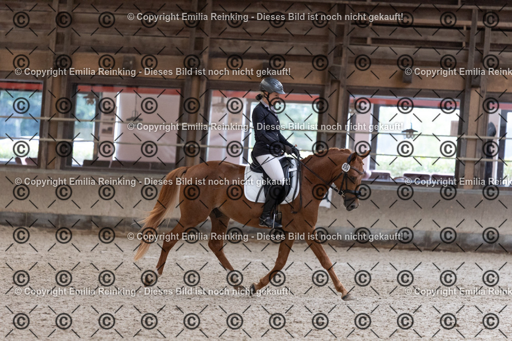 CL5A0889 | Emilia Reinking Fotografie - Realisiert mit Pictrs.com