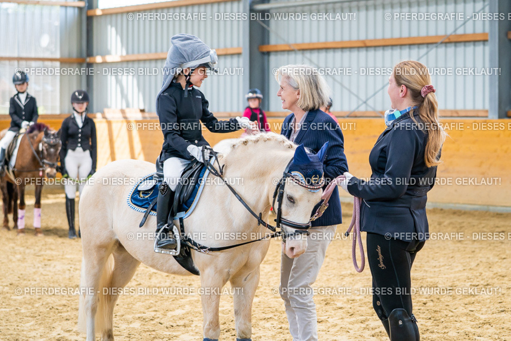 DSC00789 | Pferdegrafie