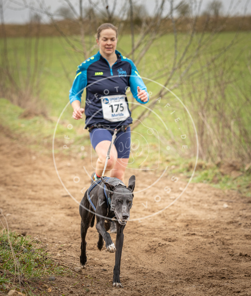 DV3A2010 | Hundefotografie, Tierfotograf, Pfotenfotografie, Fotoshooting Hund, Hunde Portrait, Hundesport, Hundeportraits, Heideshooting, Hunde, Sportfotograf, Hundefotograf, Turnierhundsport, THS,  - Realisiert mit Pictrs.com