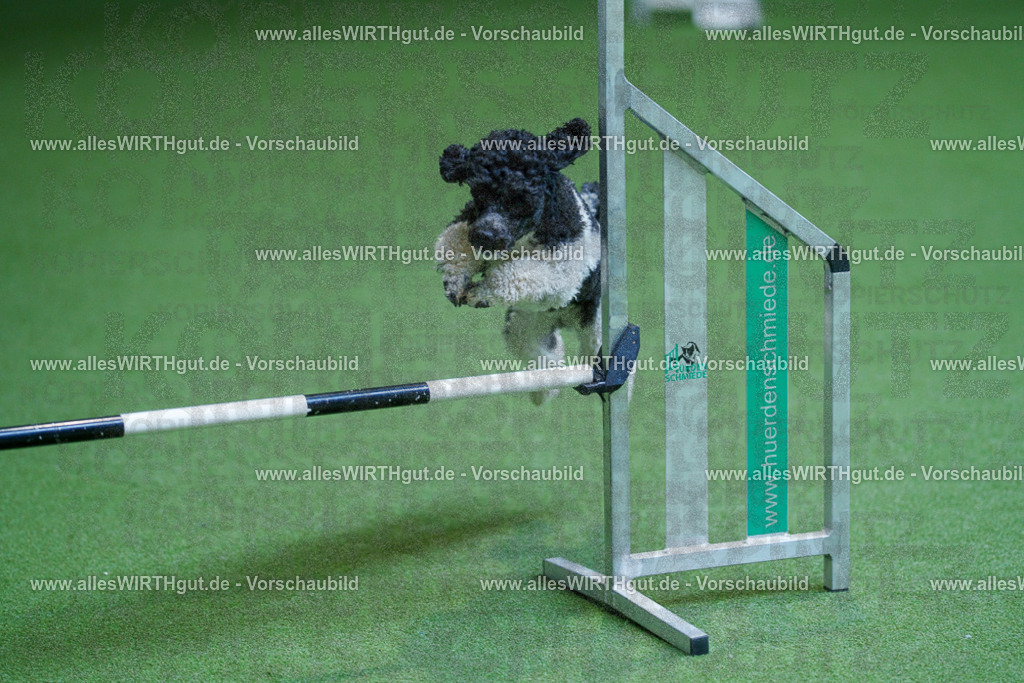 @allesWIRTHgut_Tierfotografie - www.allesWIRTHgut.de - 2604261339-7R502363 | Professionelle Tierfotografie in Mönchengladbach von Daniel Wirth (allesWIRTHgut). Liebevolle & natürliche Bilder von Hunden & Katzen für unvergessliche Erinnerungen.